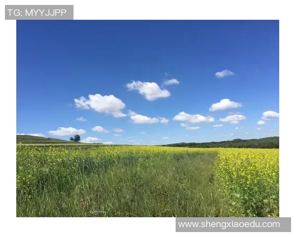 王秀英的极限运动人生探索与深度对话之旅
